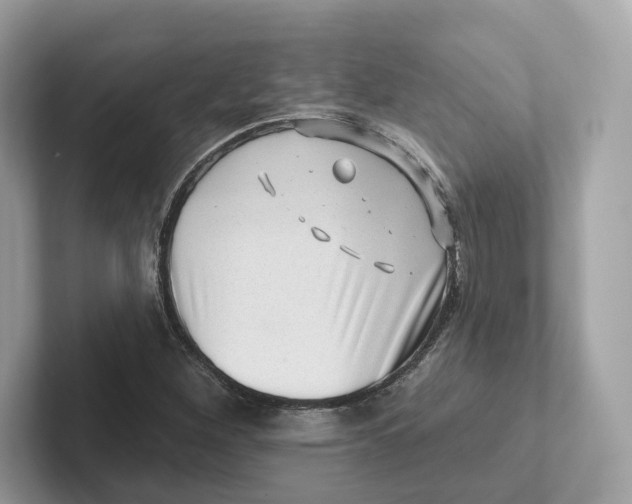 X0000101451260200807280932