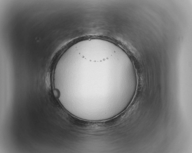 X0000101451262200807280932