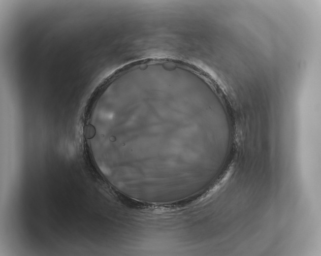 X0000101451263200807280932