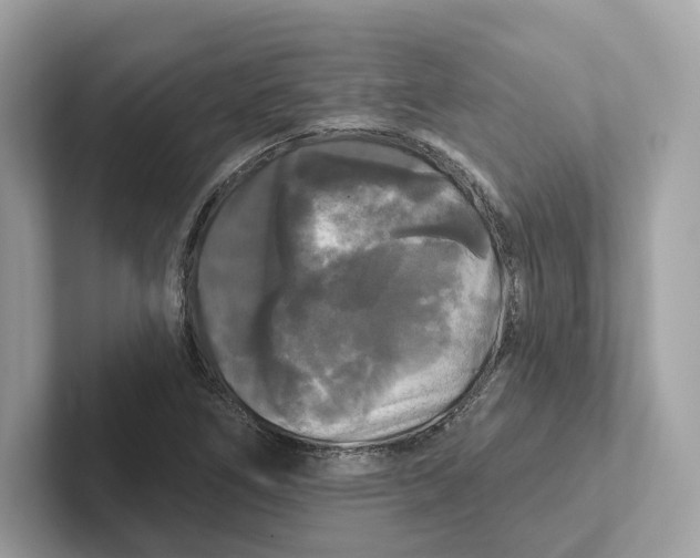 X0000101451266200807280932