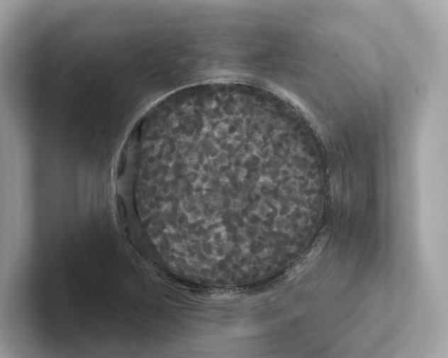 X0000101451267200807280932