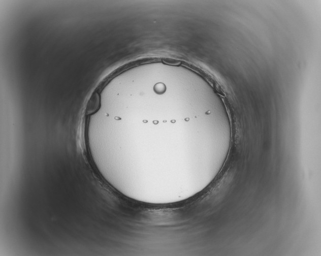 X0000101451272200807280932