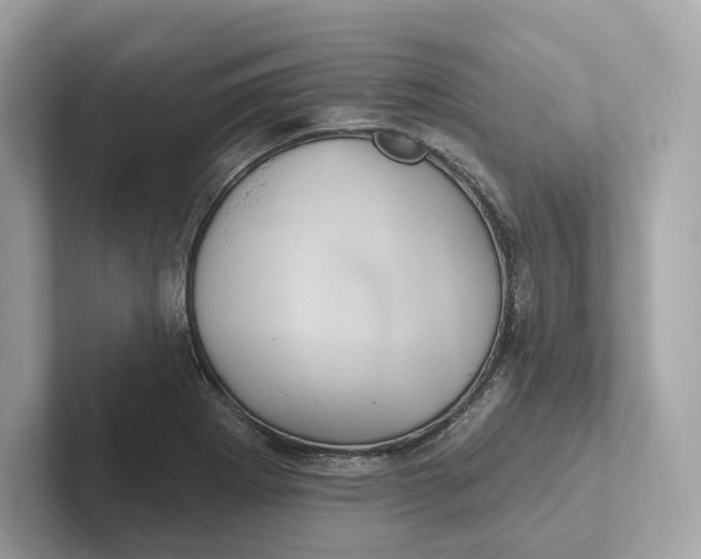 X0000101451273200807280932