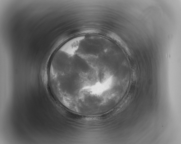 X0000101451274200807280932