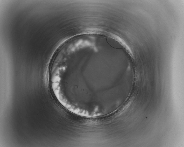 X0000101451275200807280932