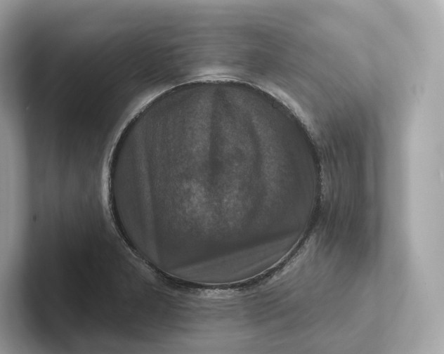 X0000101451277200807280932