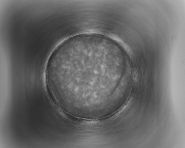 X0000101451278200807280932