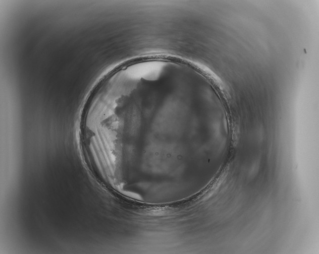 X0000101451279200807280932