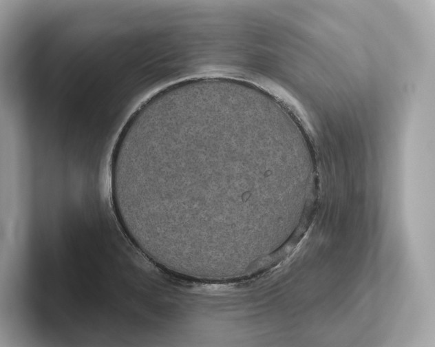 X0000101451280200807280932