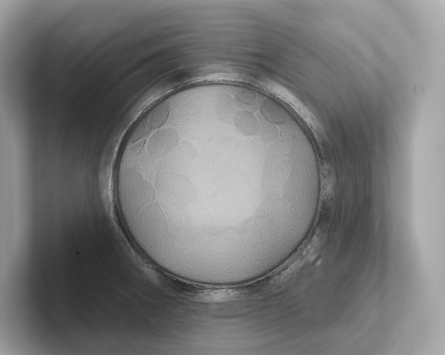 X0000101451282200807280932