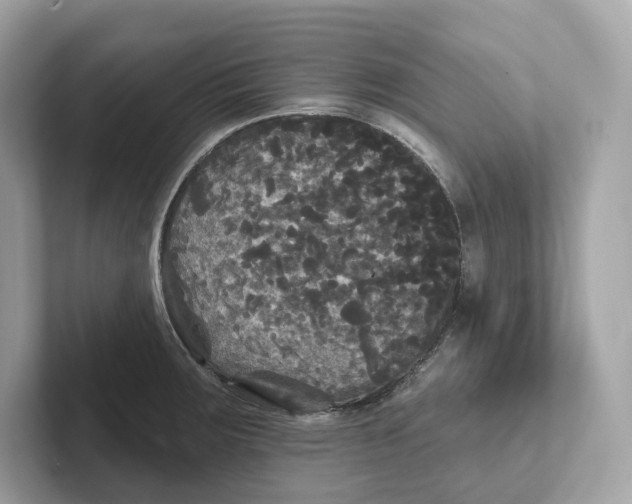 X0000101451283200807280932