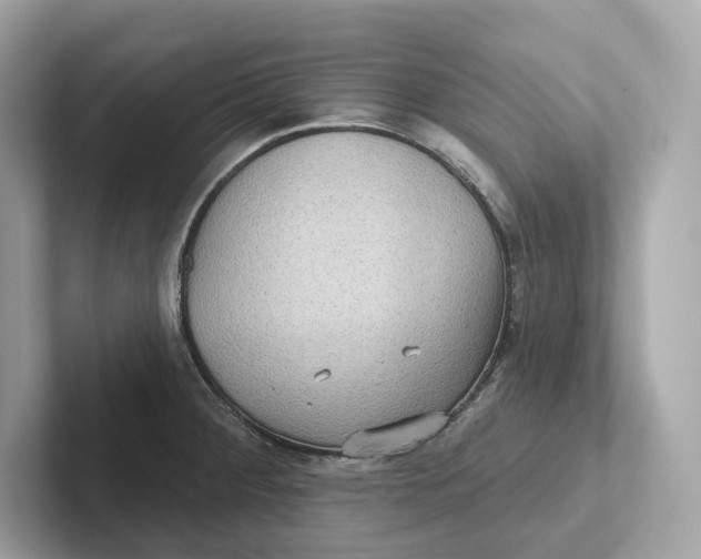 X0000101451284200807280932