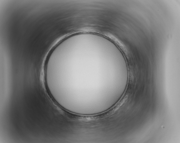 X0000101451286200807280932