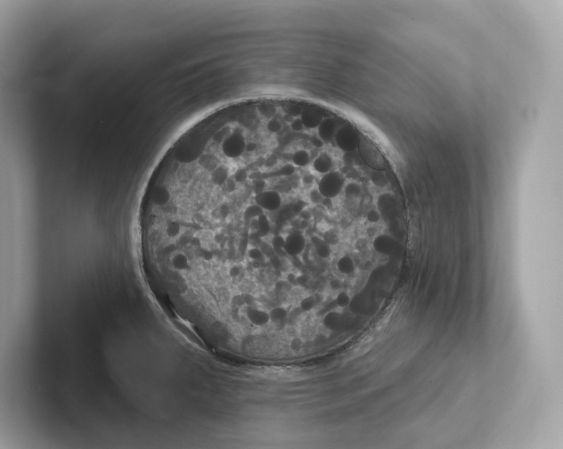 X0000101451287200807280932