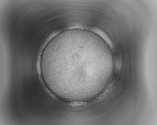 X0000101451290200807280932