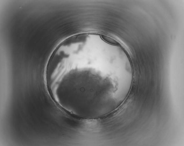 X0000101451291200807280932