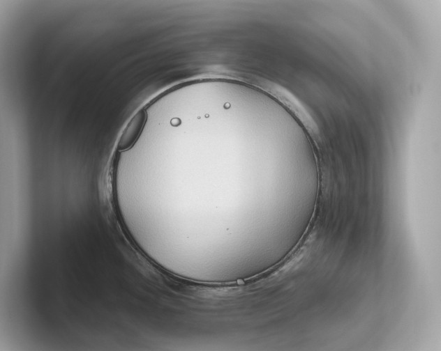 X0000101451292200807280932