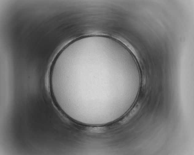 X0000101451293200807280932