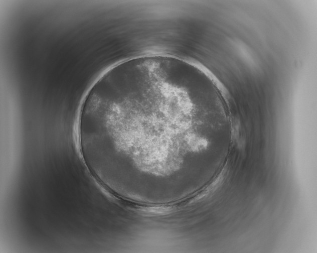 X0000101451294200807280932