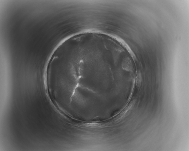 X0000101451295200807280932