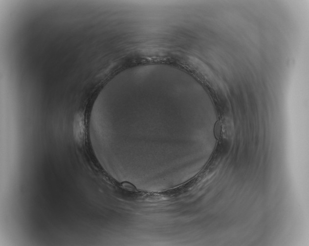 X0000101451298200807280931