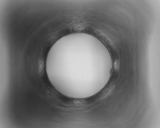 X0000101451299200807280931