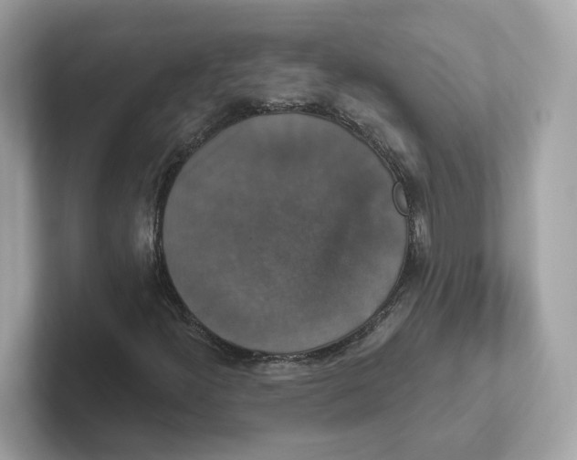 X0000101451300200807280931