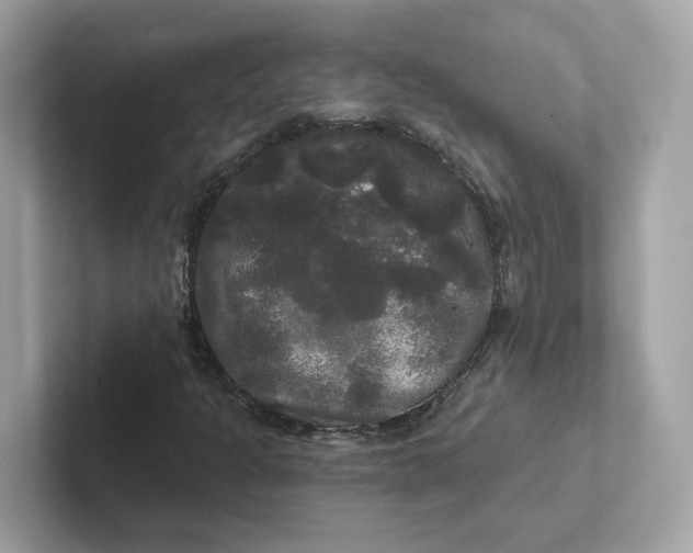 X0000101451301200807280931