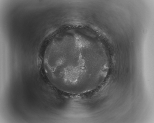 X0000101451302200807280931