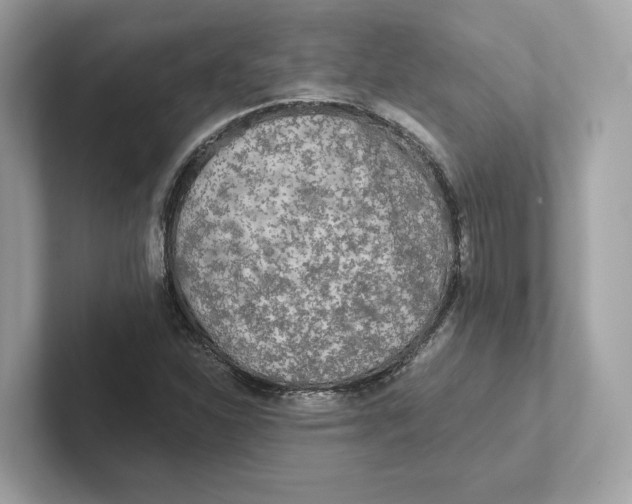 X0000101451310200807280931