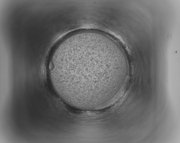 X0000101451311200807280931