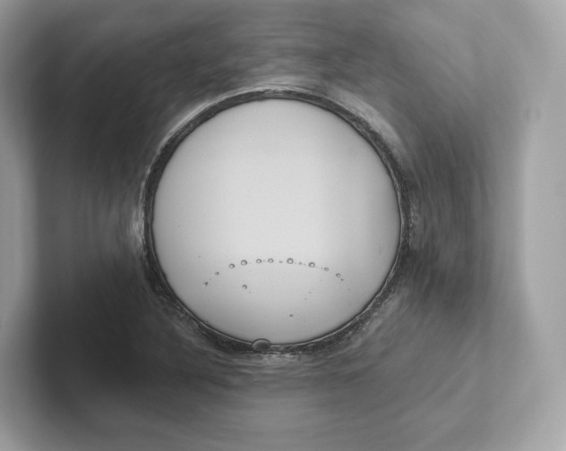 X0000101451316200807280931