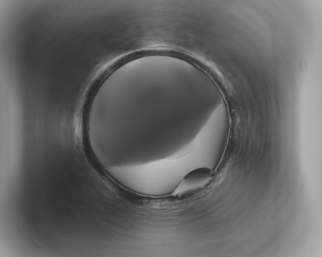 X0000101451319200807280931