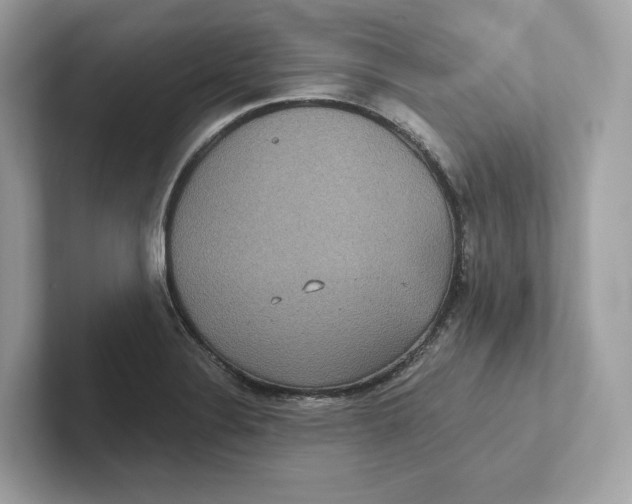 X0000101451324200807280931