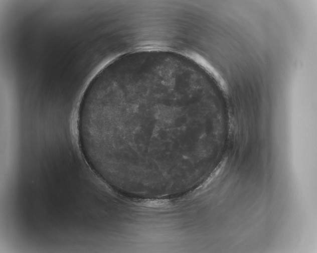 X0000101451325200807280931