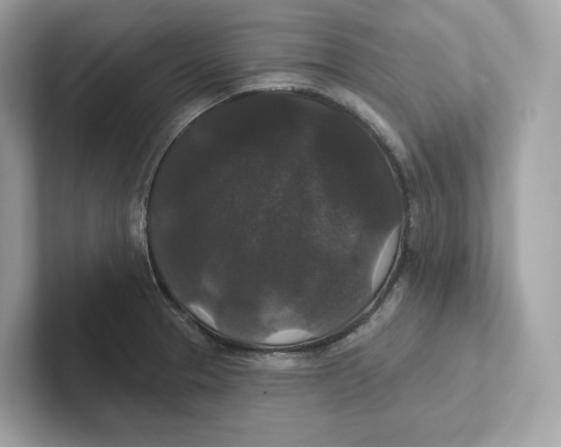 X0000101451329200807280931