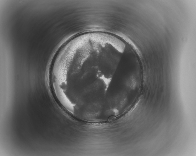 X0000101451333200807280932