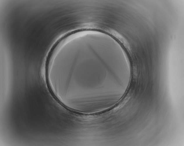 X0000101451334200807280932