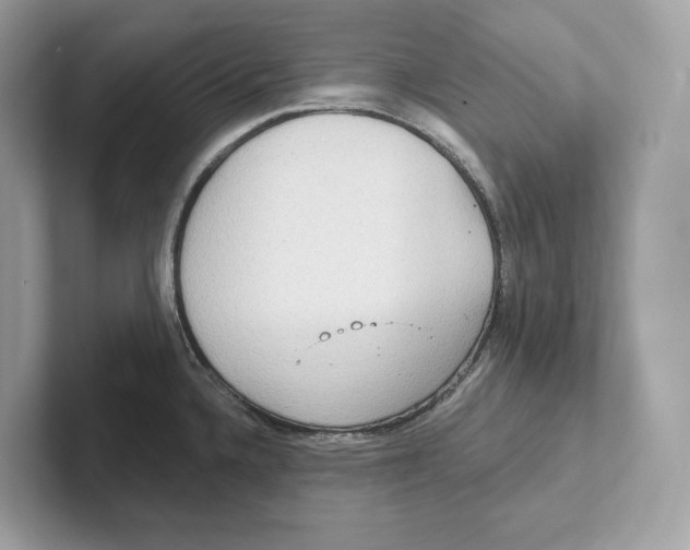 X0000101451336200807280932