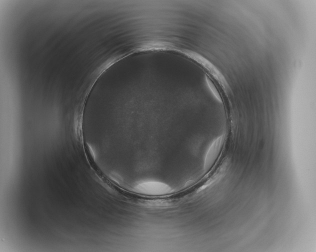 X0000101451337200807280932