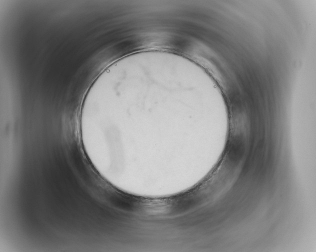 X0000101451338200807280932