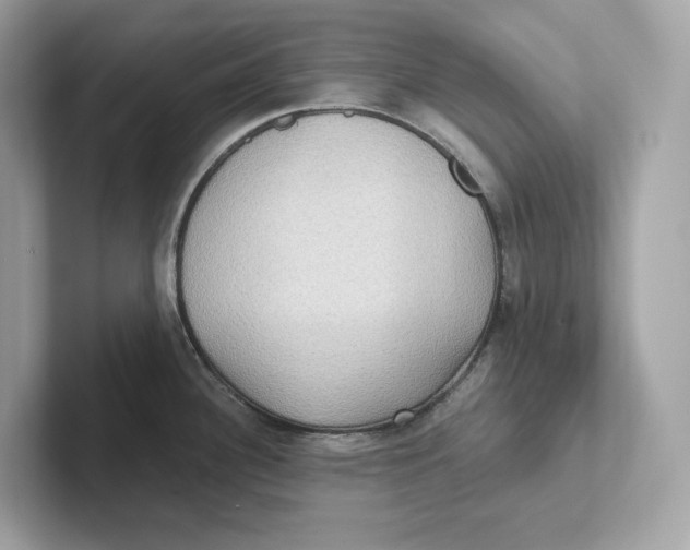 X0000101451340200807280932