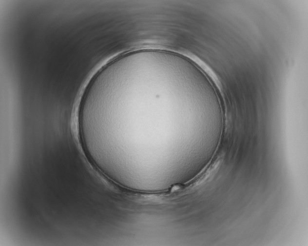 X0000101451341200807280932