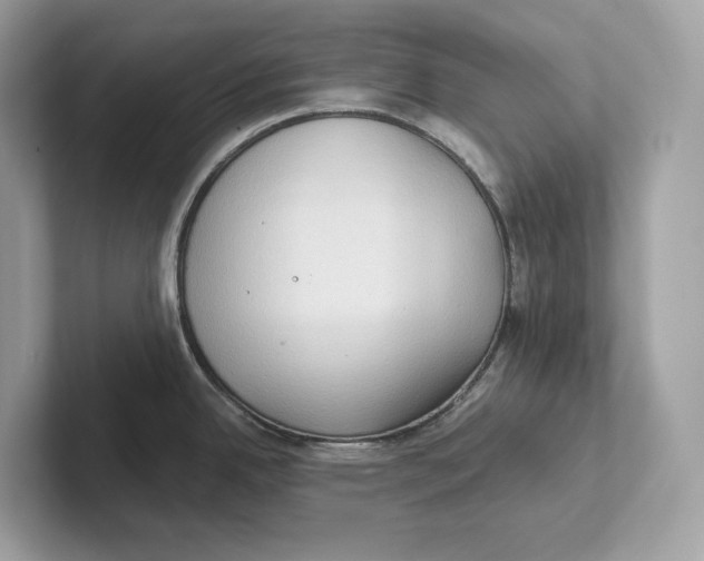 X0000101451342200807280932