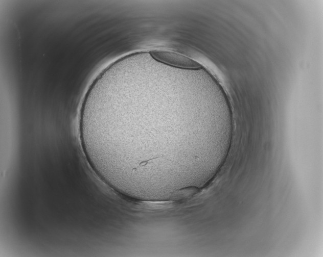 X0000101451344200807280932