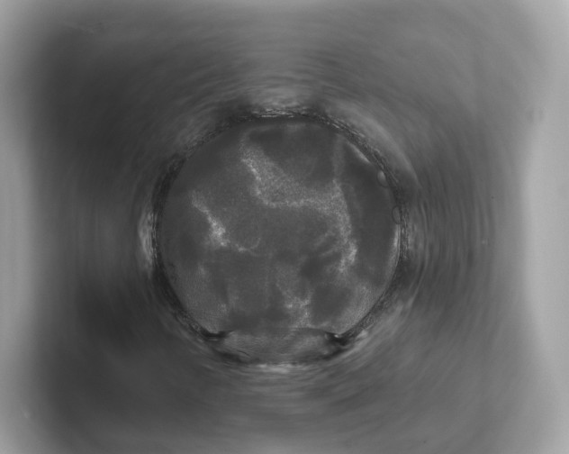 X0000101451346200807280931