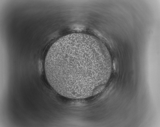 X0000101451347200807280931