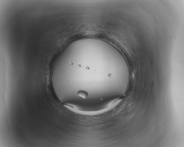 X0000101451348200807280931