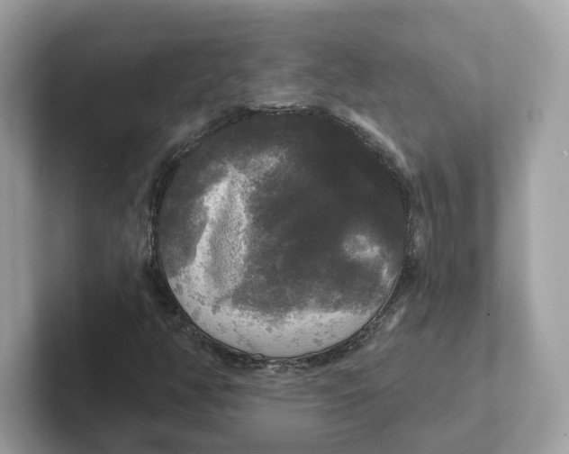 X0000101451350200807280931