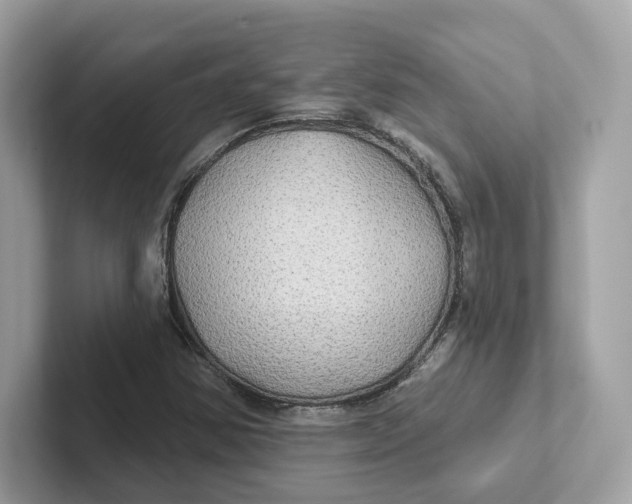 X0000101451354200807280931